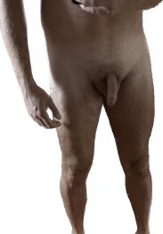 Plavooki